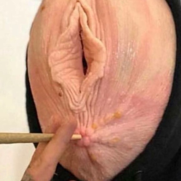 Meet your Posher, Darious - Picture 1 of 1